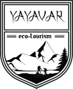 yayaver logo 1
